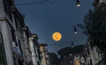 Luna velata